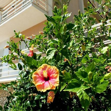 Casa Vacanze Ferdinandea Шака Екстериор снимка